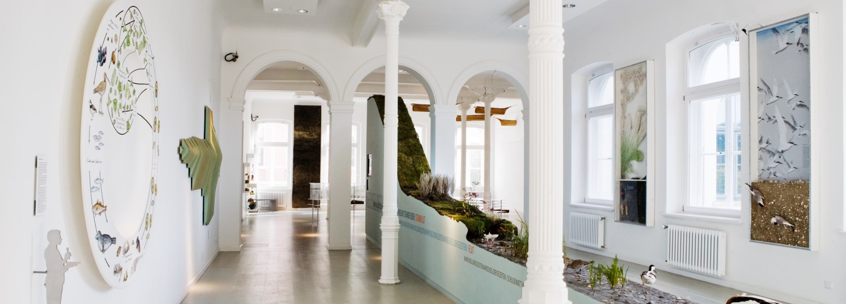 Landesmuseum Natur und Mensch Ausstellung Landesmuseum Natur und Mensch Ausstellung