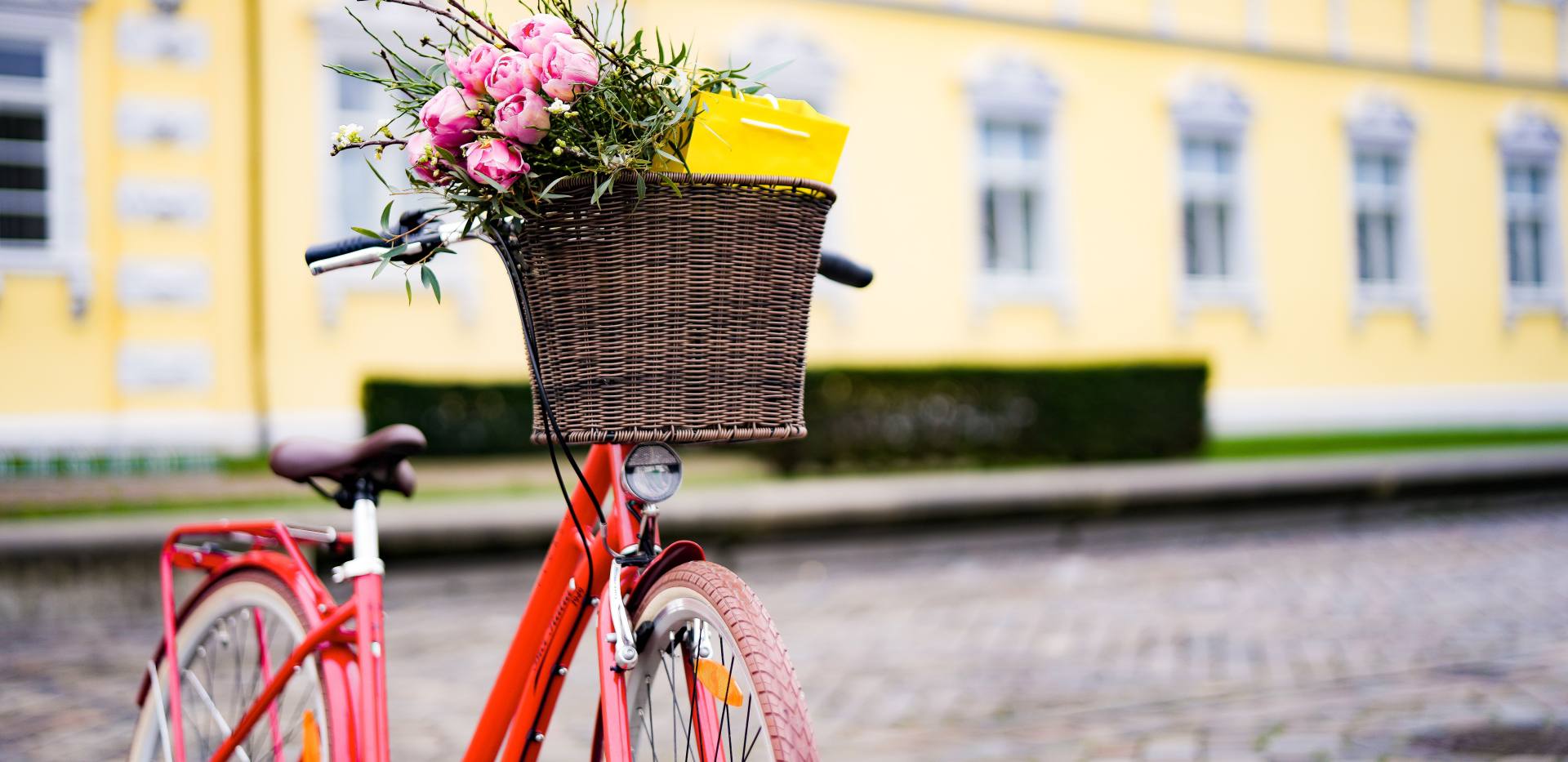 Rotes Fahrrad mit bestücktem Fahrradkorb vor dem Oldenburger Schloss.