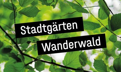 Oldenburg Stadtgärten Wanderwald Oldenburg Stadtgärten Wanderwald