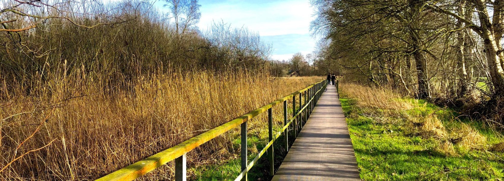 Haarenniederung Oldenburg mit Steg Haarenniederung Oldenburg mit Steg