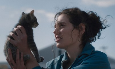Im Bild ist eine weiblich gelesene Person zu erkennen, die in ihren Armen auf Kopfh&ouml;he eine kleine Katze hochh&auml;lt und anschaut. Im Hintergrund ist der Himmel verschwommen zu erkennen.