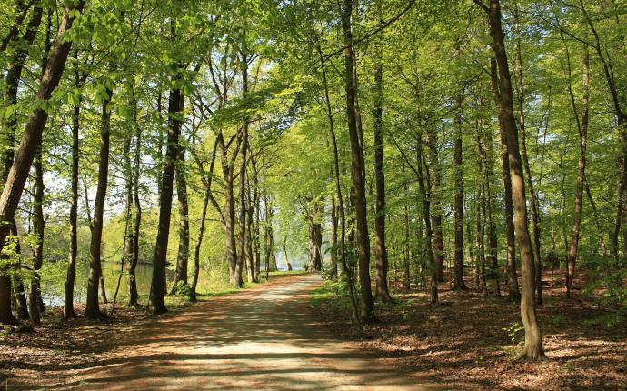 Teilroute Ammerland Park Teilroute Ammerland Park
